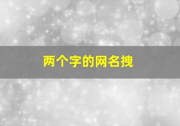 两个字的网名拽