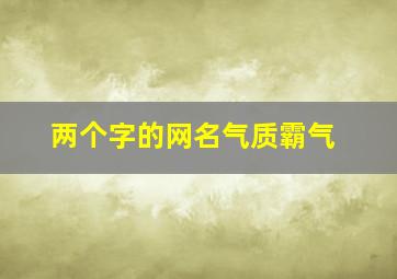 两个字的网名气质霸气