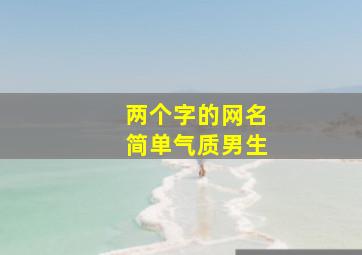 两个字的网名简单气质男生