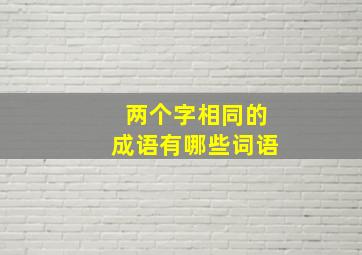 两个字相同的成语有哪些词语