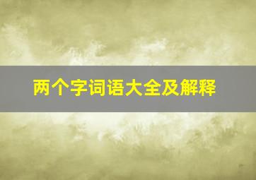 两个字词语大全及解释