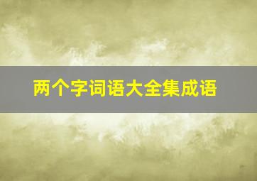 两个字词语大全集成语