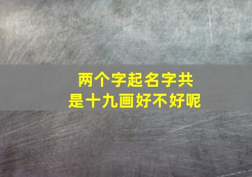 两个字起名字共是十九画好不好呢