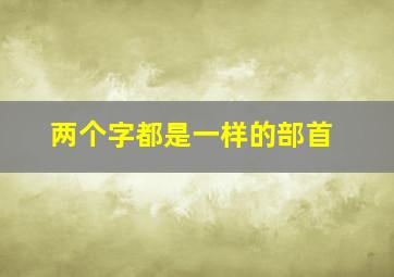 两个字都是一样的部首