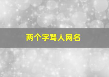 两个字骂人网名