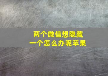 两个微信想隐藏一个怎么办呢苹果