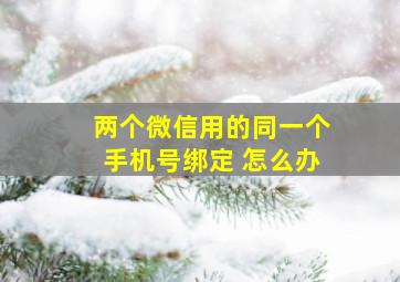 两个微信用的同一个手机号绑定 怎么办