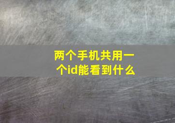 两个手机共用一个id能看到什么