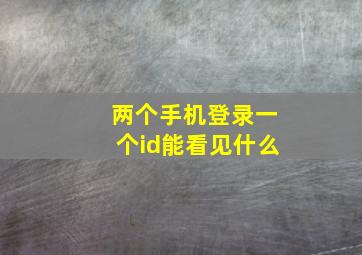 两个手机登录一个id能看见什么