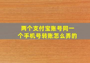 两个支付宝账号同一个手机号转账怎么弄的