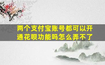 两个支付宝账号都可以开通花呗功能吗怎么弄不了