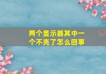 两个显示器其中一个不亮了怎么回事