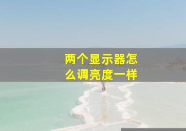 两个显示器怎么调亮度一样