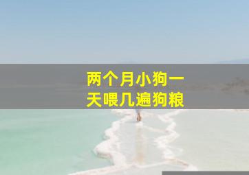 两个月小狗一天喂几遍狗粮