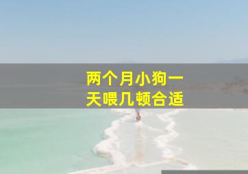 两个月小狗一天喂几顿合适