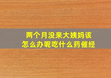 两个月没来大姨妈该怎么办呢吃什么药催经