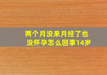 两个月没来月经了也没怀孕怎么回事14岁