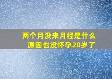 两个月没来月经是什么原因也没怀孕20岁了