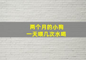 两个月的小狗一天喂几次水喝