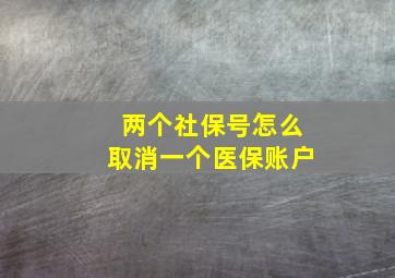 两个社保号怎么取消一个医保账户