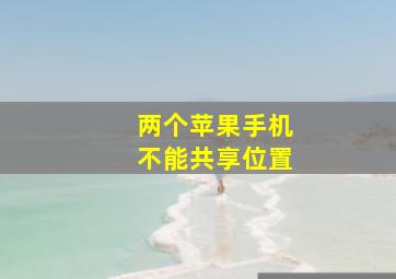 两个苹果手机不能共享位置