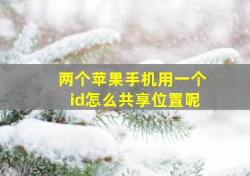 两个苹果手机用一个id怎么共享位置呢