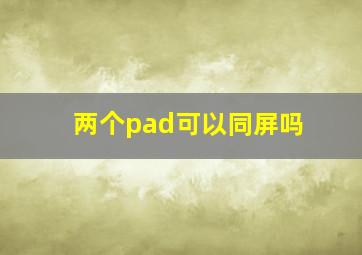 两个pad可以同屏吗