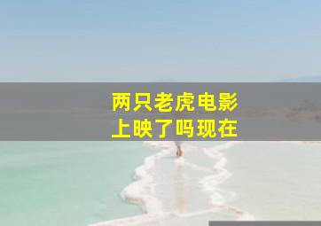 两只老虎电影上映了吗现在