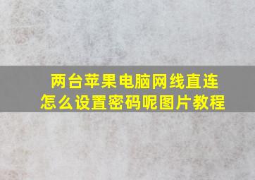 两台苹果电脑网线直连怎么设置密码呢图片教程