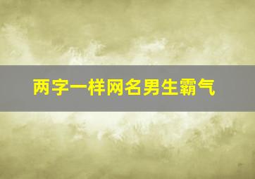 两字一样网名男生霸气