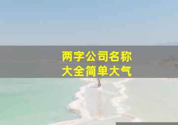 两字公司名称大全简单大气