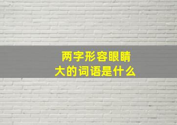 两字形容眼睛大的词语是什么