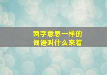 两字意思一样的词语叫什么来着