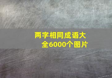 两字相同成语大全6000个图片