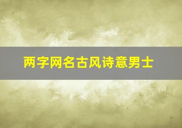 两字网名古风诗意男士