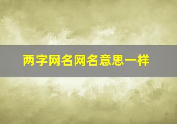 两字网名网名意思一样