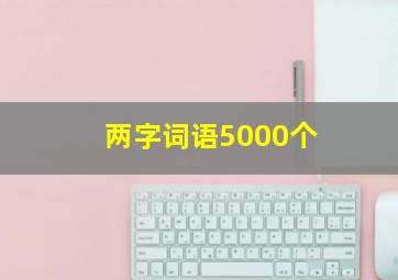 两字词语5000个