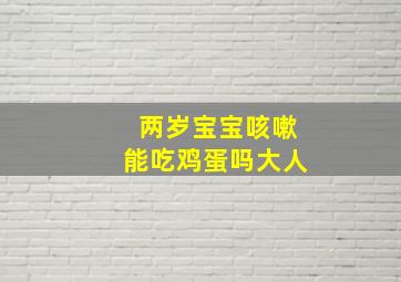 两岁宝宝咳嗽能吃鸡蛋吗大人