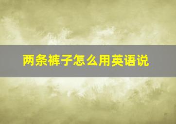 两条裤子怎么用英语说