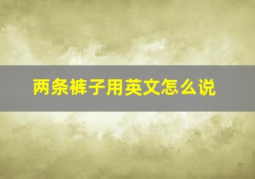 两条裤子用英文怎么说