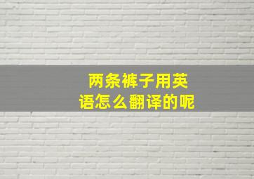 两条裤子用英语怎么翻译的呢