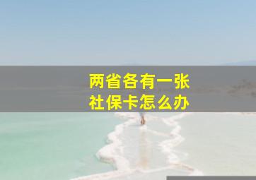 两省各有一张社保卡怎么办