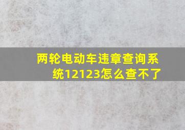 两轮电动车违章查询系统12123怎么查不了