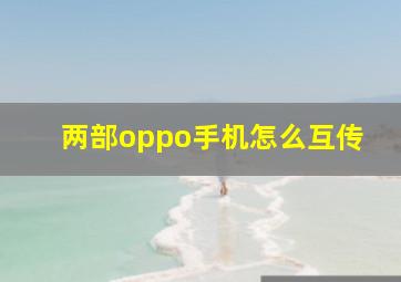 两部oppo手机怎么互传