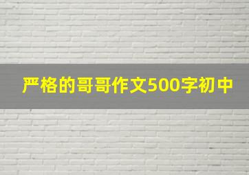 严格的哥哥作文500字初中