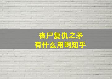 丧尸复仇之矛有什么用啊知乎