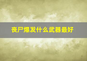 丧尸爆发什么武器最好