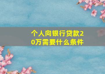 个人向银行贷款20万需要什么条件