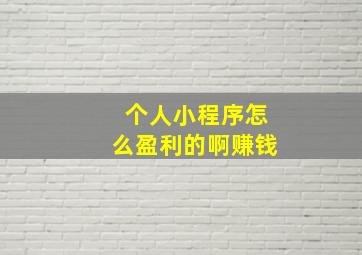 个人小程序怎么盈利的啊赚钱