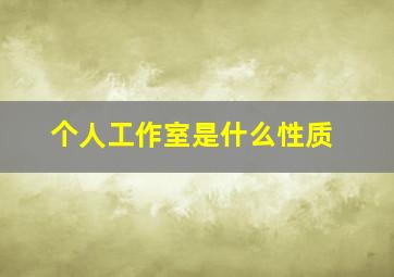 个人工作室是什么性质